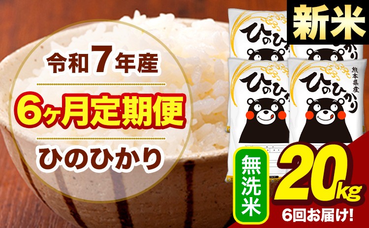 
            新米 令和7年産 【6ヶ月定期便】  無洗米 米 ひのひかり 20kg《お申し込み月の翌月から出荷開始》熊本県 大津町 国産 熊本県産 無洗米 送料無料 ヒノヒカリ こめ お米 
          