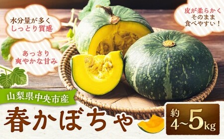 【先行受付】山梨県中央市産 春かぼちゃ 約4～5kg かぼちゃ 南瓜 カボチャ 野菜 山梨県 中央市 【2026年6月上旬〜8月上旬発送予定】