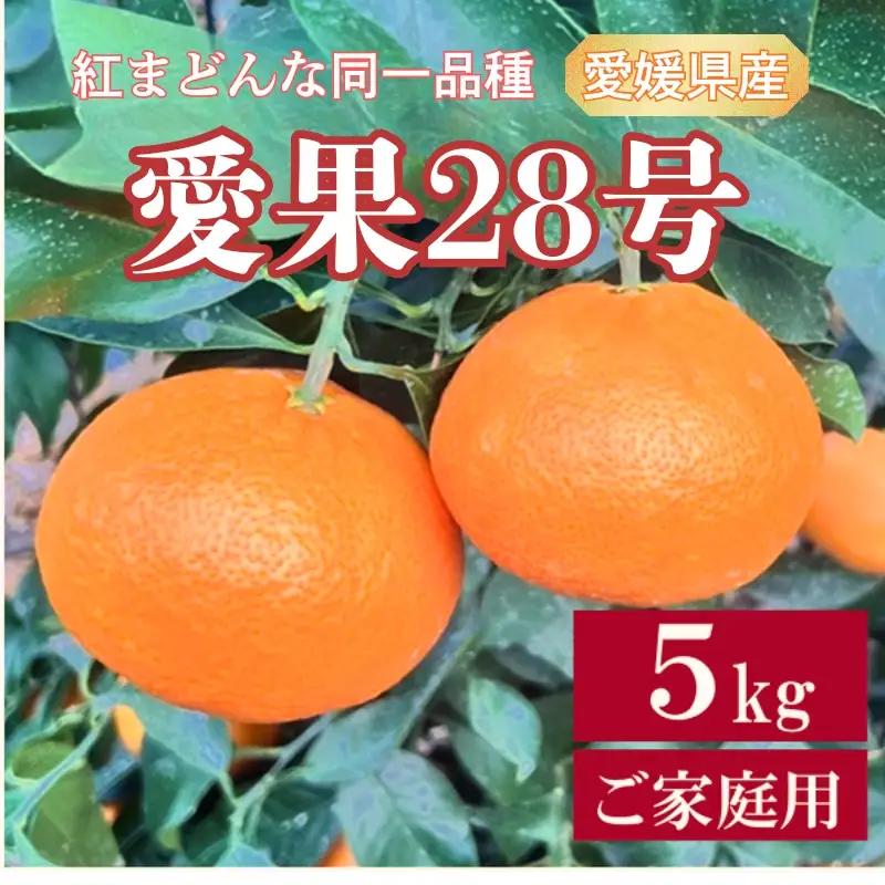 【12月中旬より順次発送】愛果28号 5kg ご家庭用｜B256