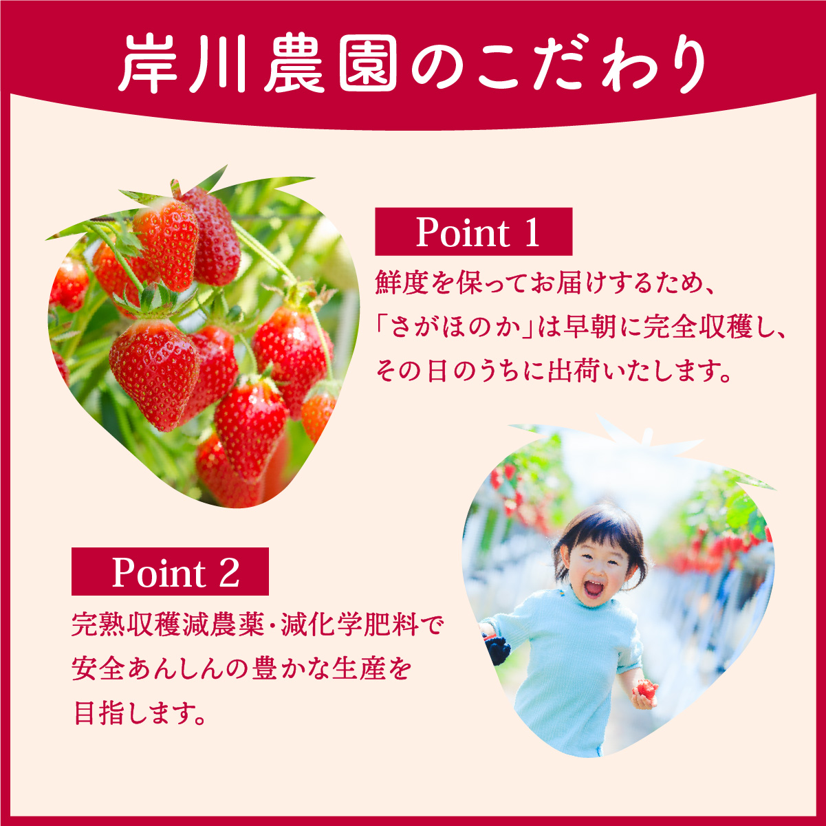 さがほのか 440g (220g×2p)