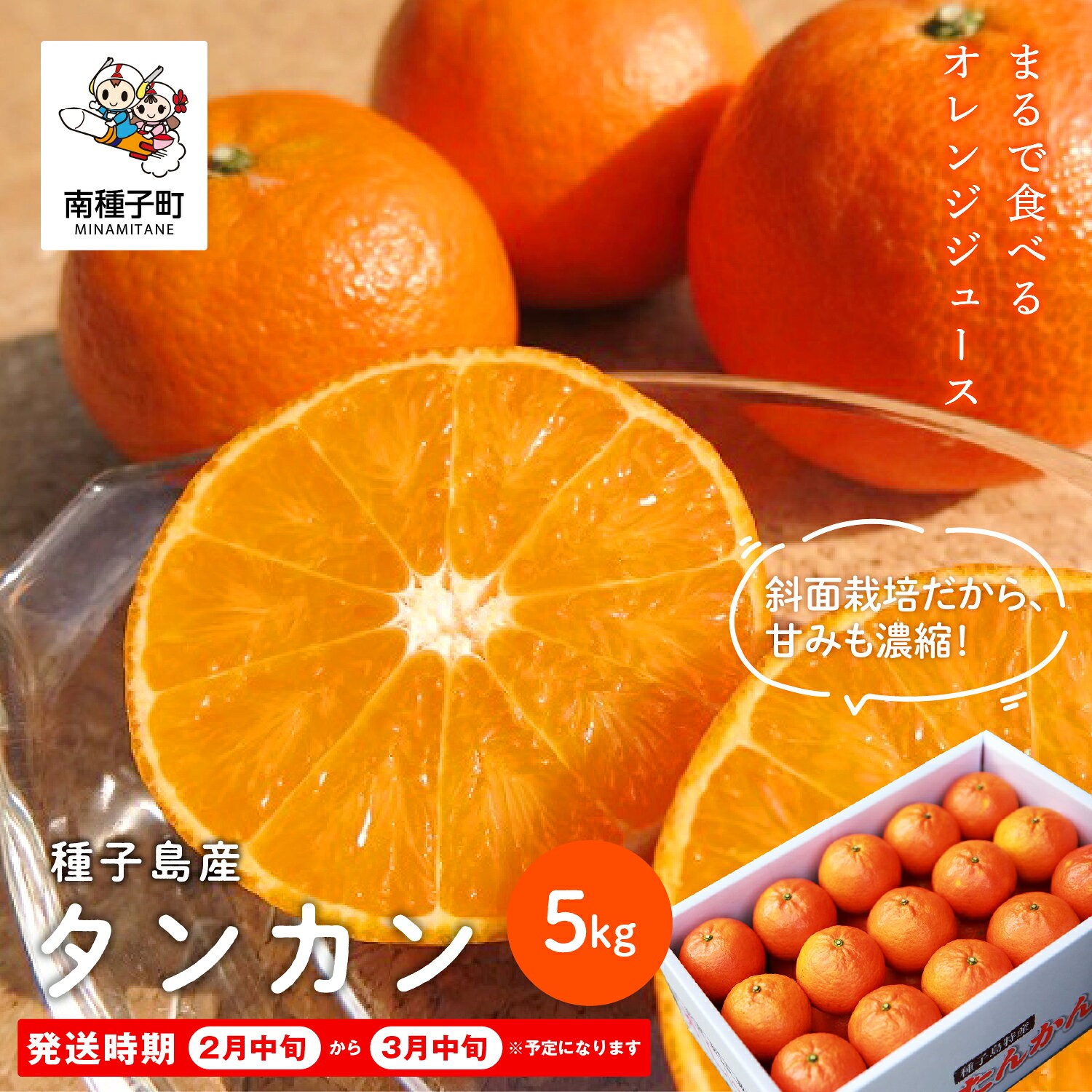 【ふるさと納税】《 先行予約 》 種子島産 タンカン 約 5kg ( 24玉～30玉 ) たんかん みかん ぽんかん 柑橘 果物 フルーツ 5キロ 定番 一番人気 ギフト 贈答 ご家庭用 濃厚 甘い 産地直送 数量限定 送料無料 鹿児島県 南種子町 《 2027年2月中旬～3月中旬順次発送 》