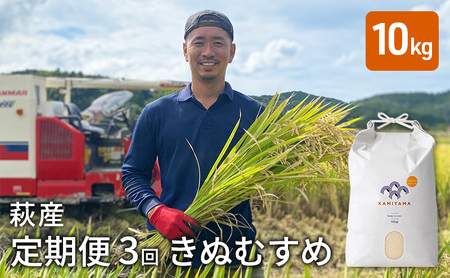 定期便 3か月 きぬむすめ 令和6年 10kg 米 コメ こめ 萩産  KAMITAMA