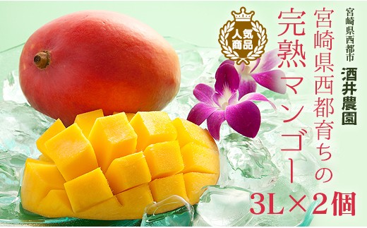 
                  酒井農園 西都産 宮崎完熟マンゴー3L×2個産地直送＜1.7-48＞宮崎マンゴー【先行予約】2026年発送 宮崎完熟マンゴー 果物 フルーツ 甘い
                