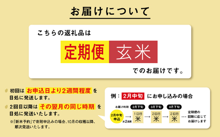《先行予約》 玄米 定期便 あきたこまち 令和7年産 5kg(5kg×1) × 12ヶ月 5kg袋 小分け 米 グルメ こめ コメ 【秋田のこまち農場】