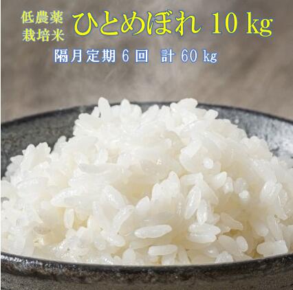 【ふるさと納税】《 新米先行予約 》隔月 定期便 6回 令和7年産 新米 低農薬栽培米 ひとめぼれ 10kg 精米 お米 ふるさと納税 ご飯 ごはん お弁当 おにぎり 東北 国産 送料無料 米 岩手県 一関市
