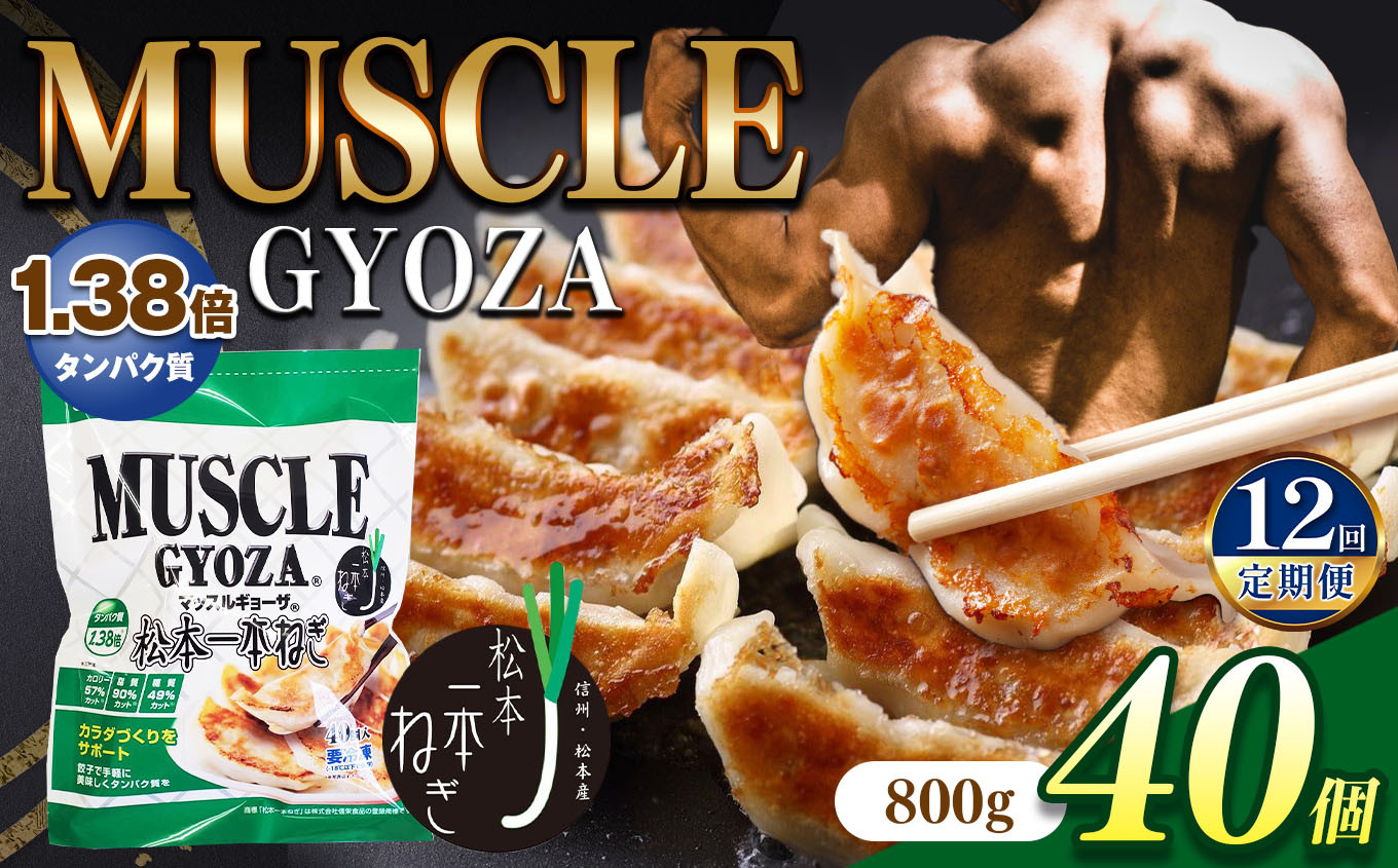 
【定期便12回】MUSCLE GYOZA ～マッスルギョーザ～ 松本一本ねぎ（40個入り） | 餃子 ギョーザ 高タンパク 低糖質 低脂質 低カロリー マッスルギョーザ 長野県 松本市 信州産 ふるさと納税
