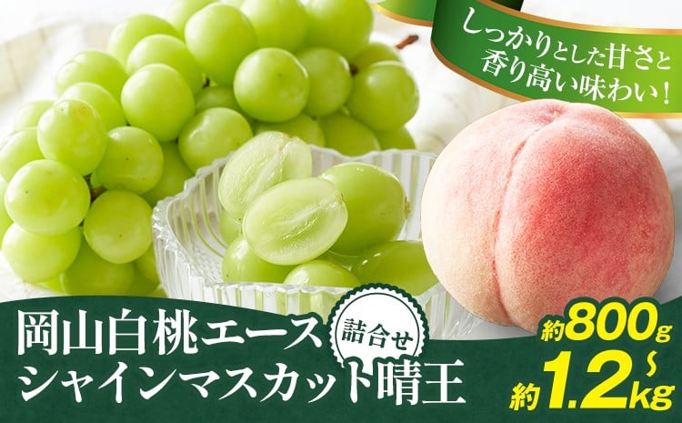
                  【2026年先行予約】岡山県産 岡山白桃 エース L~ 3Lサイズ シャインマスカット 選べる 計 800g 1kg 1.2kg 詰合せ 株式会社 はちや《2026年7月上旬-8月下旬頃出荷》もも 岡山 国産 フルーツ 果物 岡山県 浅口市 フルーツ モモ 果物【配送不可地域あり】
                