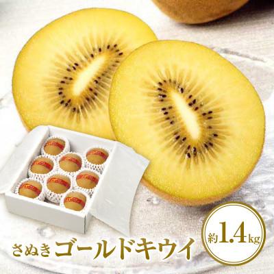 ふるさと納税 高松市 【先行受付2026年】さぬきゴールドキウイ化粧箱　約1.4kg