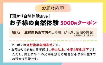 お子様の自然体験5000円クーポン「預かり自然体験dive」　滋賀県長浜市/株式会社dive in LIFE[AQAA003]