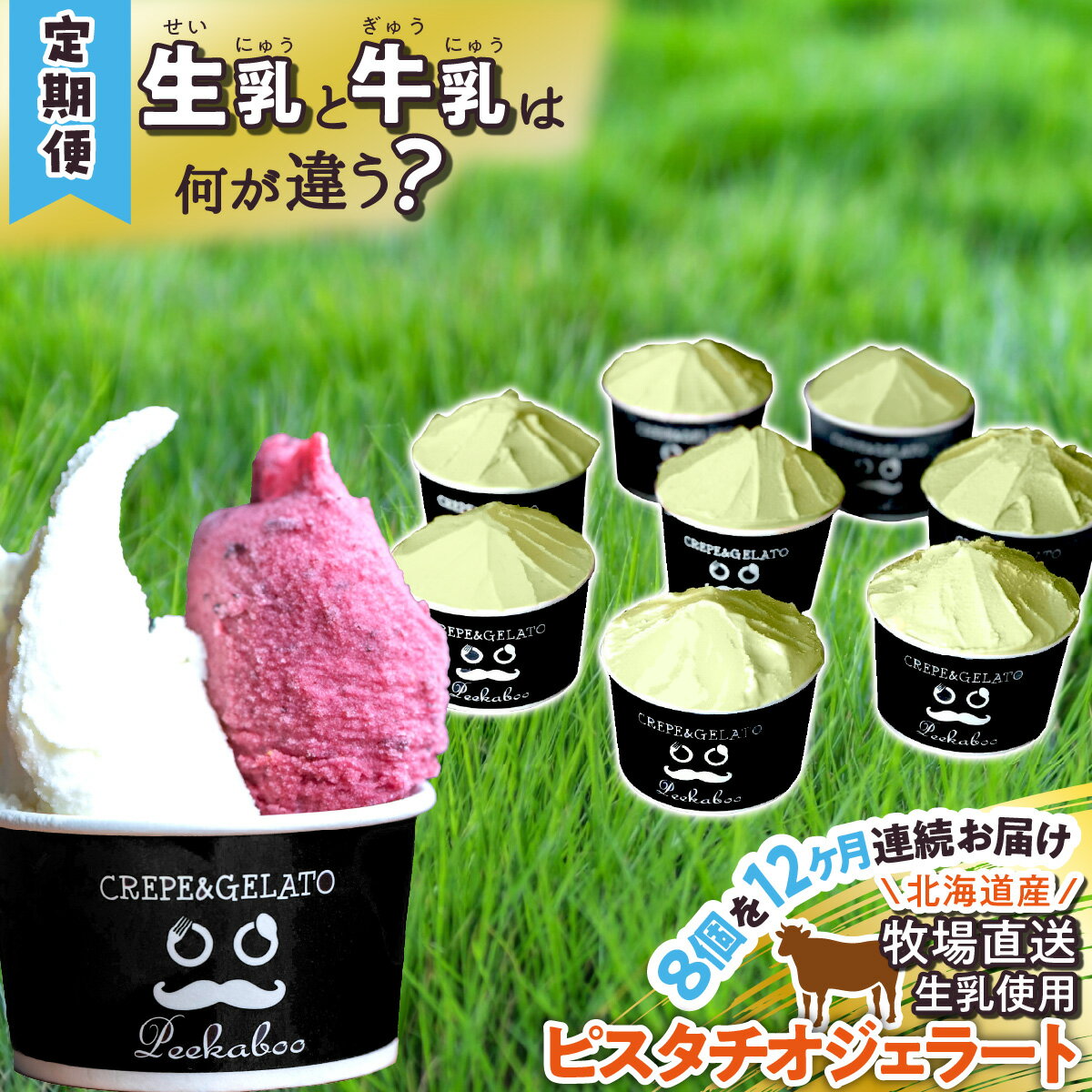 【ふるさと納税】 ＜12ヶ月定期便＞ アイス ジェラート 毎月 8個 ピスタチオ 毎月 8個 北海道産 生乳 ジェラートセット スイーツ カップアイス カップ 冷凍 北海道 新ひだか町