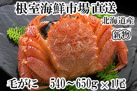 ボイル毛がに540～650g×1尾 B-14123