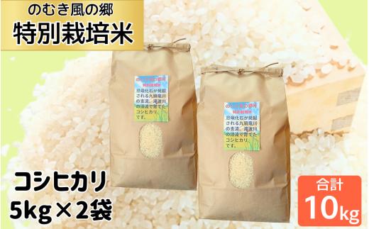【先行予約】令和8年 のむき風の郷コシヒカリ特別栽培米（精米)　5kg × 2袋（10kg） ※2026年10月上旬より順次発送 | コシヒカリ 米 白米 精米 特別栽培米 令和8年 新米 5kg 10kg のむき風の郷 コシヒカリ 福井県産 福井県 勝山市 北陸 国産米 お取り寄せ ごはん ご飯 主食 美味しい米 人気 おすすめ ギフト 贈答用 産地直送[B-024006]