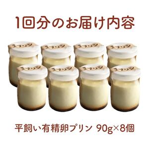 環の花 平飼い有精卵プリン 8個 3ヶ月定期便 スイーツ 国産 濃厚 【プリン】【ho1393】