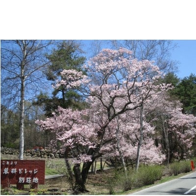 
蓼科ビレッジ別荘管理特定作業利用券＜1,000円×9枚＞【1458298】
