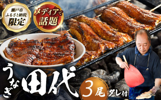 【2026年11月発送】炭火焼き 国産うなぎ 蒲焼 3尾 / ウナギ 鰻 蒲焼 炭火 かば焼き / 瀬戸市 / うなぎ田代 [BBCA003-11]
