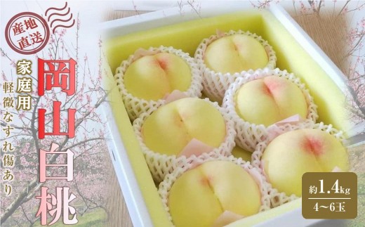 
                  桃 2026年 ご家庭用 岡山 白桃  約1.4kg（4～6玉） 【家庭用 白桃 桃 モモ 岡山県 岡山市産 国産 フルーツ 果物 新鮮 おすすめ 人気】
                