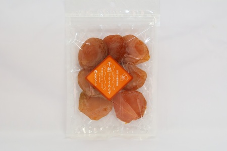 あんず ドライフルーツ 信州産 干熟 ドライ あんず 100g×3袋 |あんず