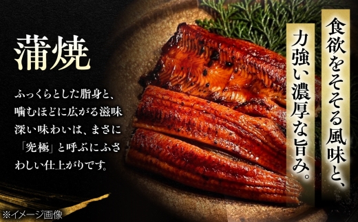 鰻 美陵鰻の蒲焼3尾×白焼3尾 紅白セット / 美陵鰻 鰻 うなぎ ウナギ 蒲焼 蒲焼き かば焼き かばやき 白焼き 白焼 肉厚 うな重 うな丼 惣菜 おかず 山椒 国産 土用 丑の日 土用の丑の日 