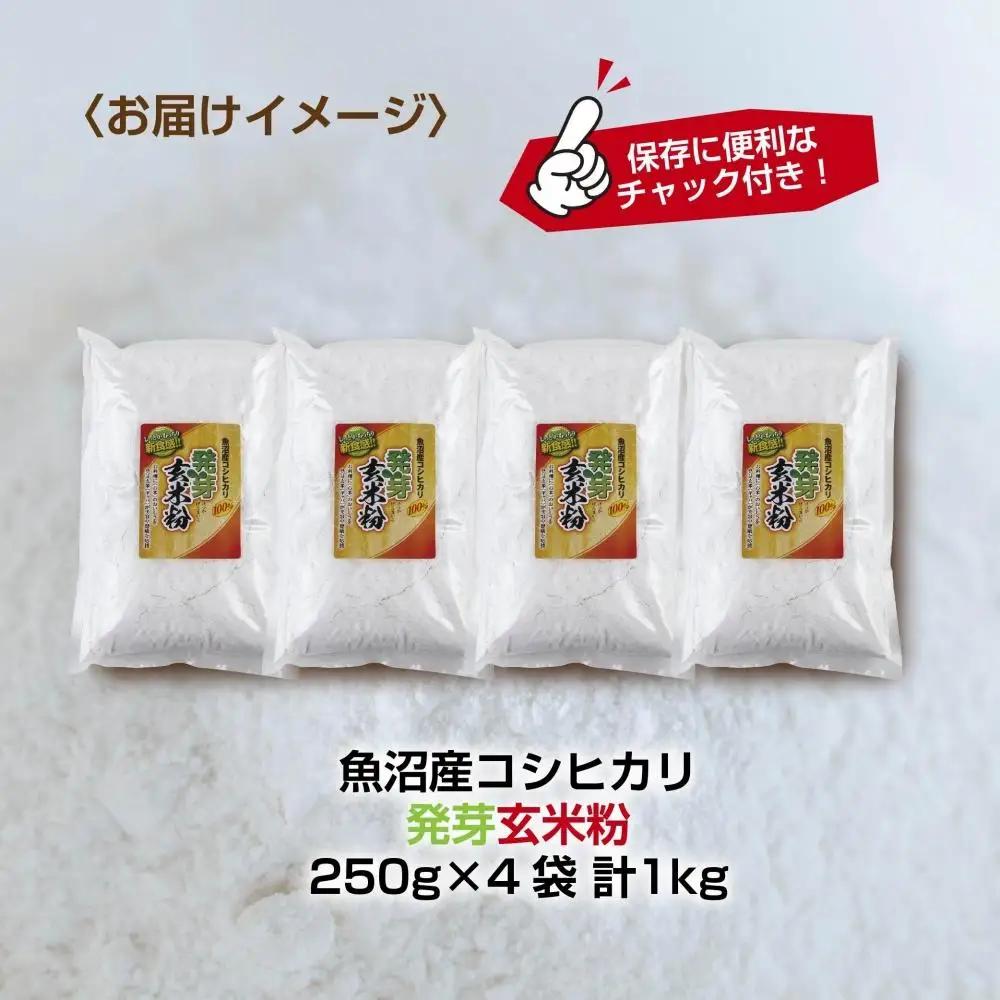 魚沼産 コシヒカリ 発芽玄米粉 250g×4袋 計1kg  玄米  グルテンフリー 小麦不使用 アレルギー GABA お取り寄せ 菓子 パン ケーキ ギフト 送料無料 コパフーズ 新潟県 南魚沼市
