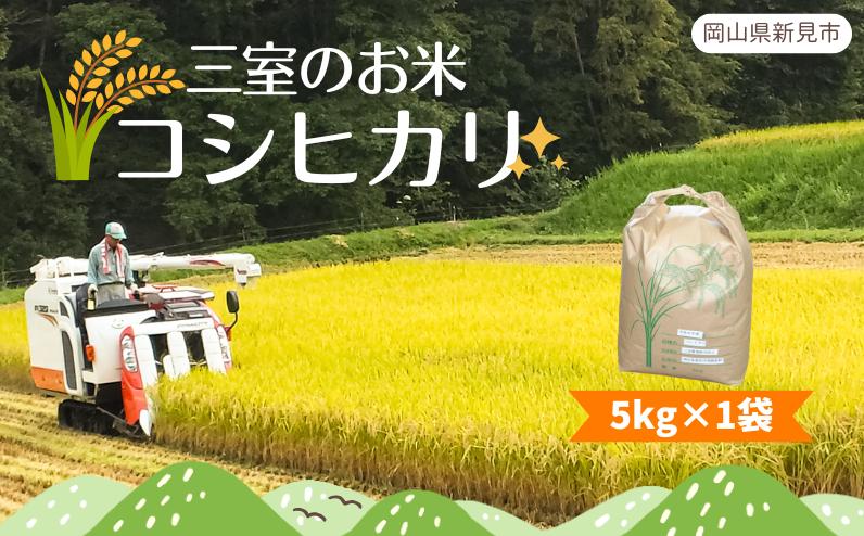 
            【令和6年産】三室のお米 コシヒカリ 低農薬米 農家直送 精米 5kg（5kg×1袋）
          