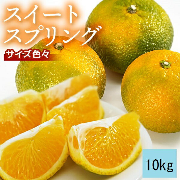 【ふるさと納税】鹿児島県産スイートスプリング 10kg (1月下旬〜2月末頃までのお届け) 訳あり サイズ混合 鹿児島 ふるさと アイショップ 南九州 幻の柑橘 希少種 上田温州と八朔の交配