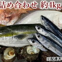 【ふるさと納税】旬の獲れたて鮮魚詰め合わせ 約4kg　【 魚の詰め合わせ 新鮮 新鮮魚介 獲れたて 旬の魚 海鮮 海産物 海の幸 】