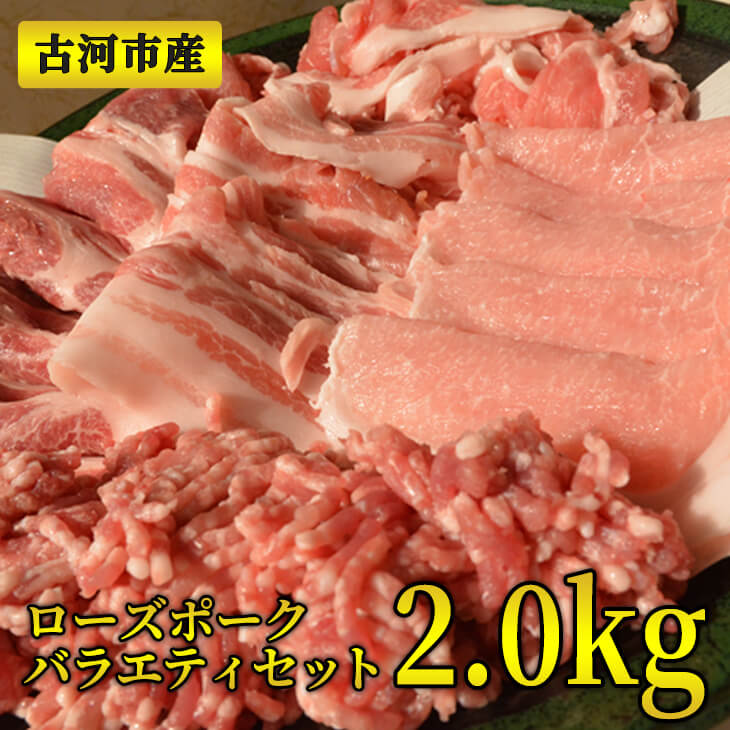 ふるさと納税 焼肉 古河市産ローズポークバラエティセット2.0kg【全国銘柄食肉コンテストで最優秀賞を受賞】肉 豚肉 BBQ セット商品 詰め合わせ ギフト | 肉 豚肉 ブランド 冷凍  BBQ 小分け 食べ比べ 食べくらべ ロース 肩ロース ひき肉 切り落とし セット商品 焼肉 ハンバーグ  詰め合わせ  ギフト 贈答 贈り物 お中元 お歳暮 プレゼント 茨城県 古河市 直送 産地直送 _ AD01