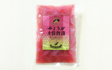 みょうが土佐酢漬け 約70g×10パック / ミョウガ 薬味 漬物 【JapanGinger株式会社】 [ATFD002]
