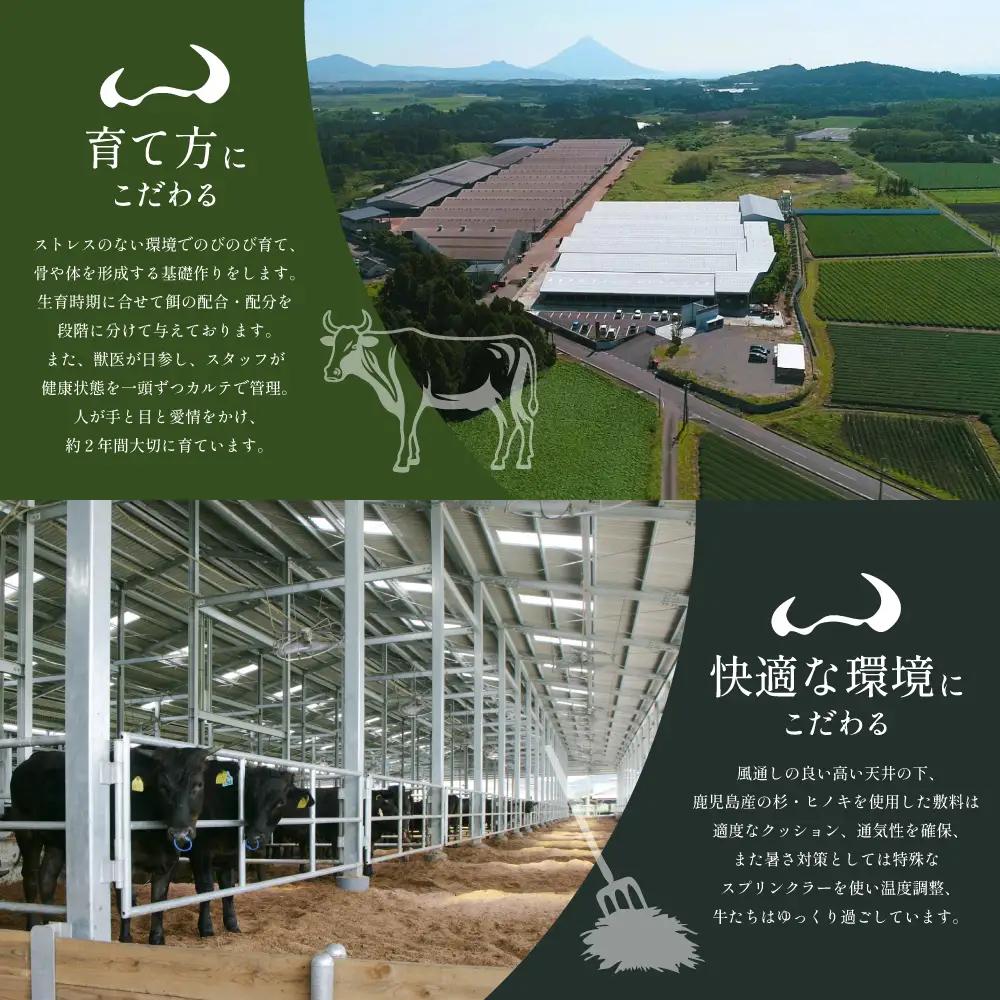 【プレミアムブランド】鹿児島県産黒毛和牛「小田牛」 サーロインステーキ 200g（1枚） ステーキ 焼肉 バーベキュー BBQ 黒毛和牛 小田畜産 冷凍