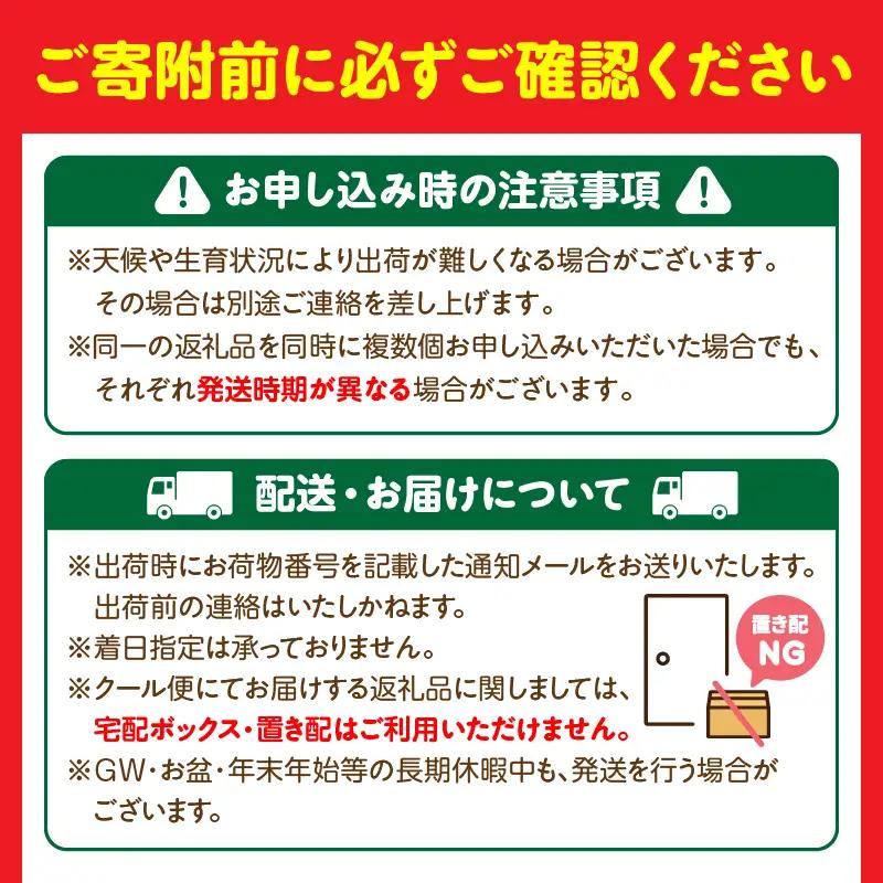 フルーツ 定期便 フルーツ [青果店厳選 くだもの 果物 Vol.1 全9回]