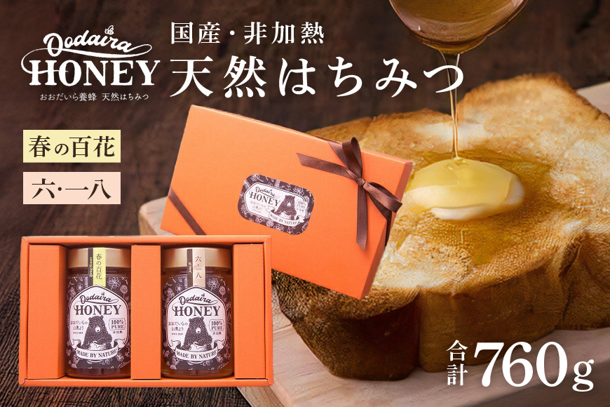 国産天然 非加熱はちみつ 380g 2本セット「春の百花」「6.18」　純粋はちみつ 生はちみつ