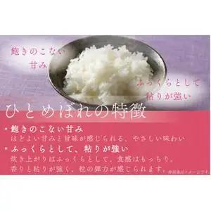 【白米】令和7年産 特別栽培米 ひとめぼれ 10㎏ CP038 完熟夕陽米