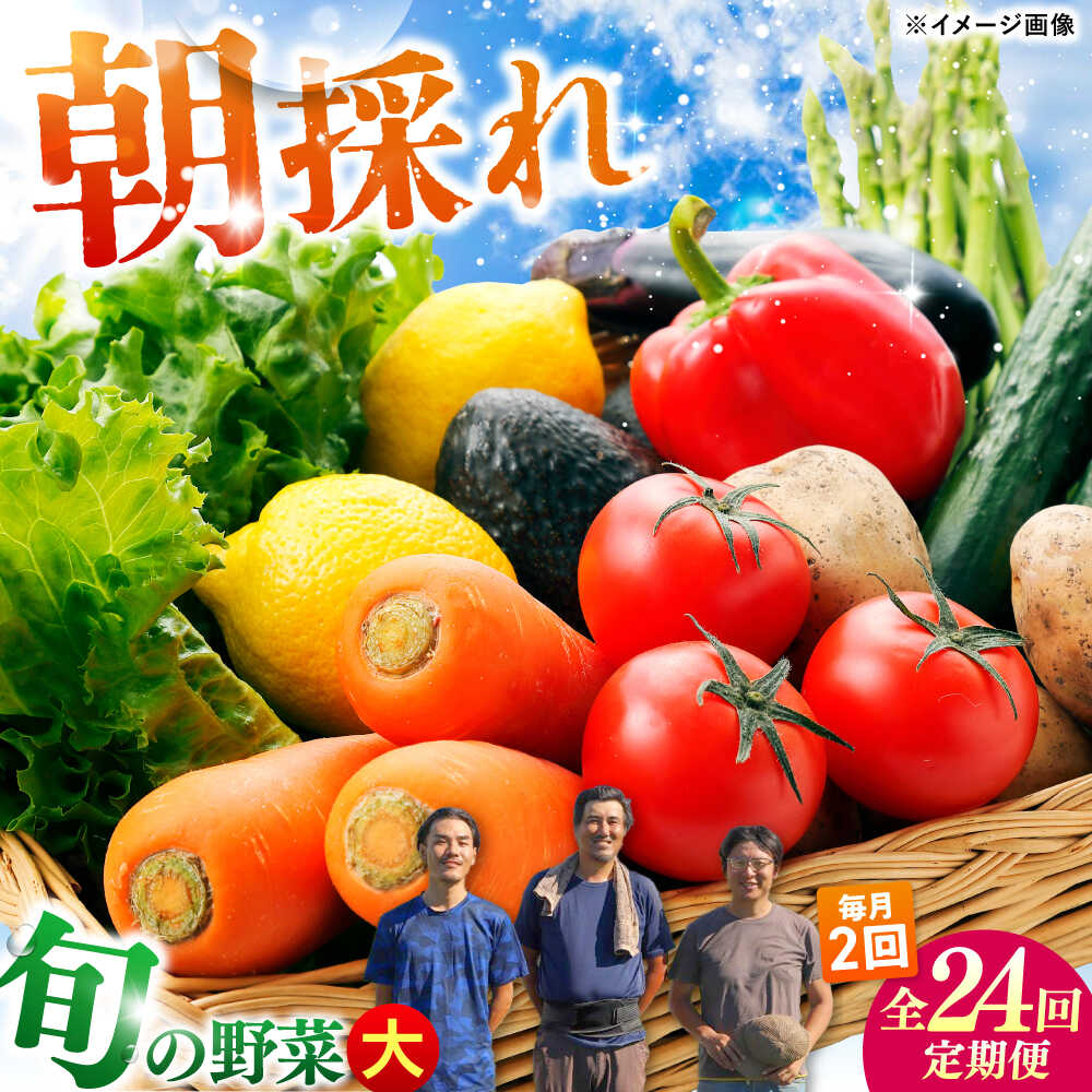 【ふるさと納税】【24回定期便・月2回配送】 土佐の太陽をいっぱいに浴びた旬の野菜セット「大」10〜13品目 / 高知 土佐 旬 野菜 詰め合わせ セット 仕送り 【土佐野菜】[ATBA018]