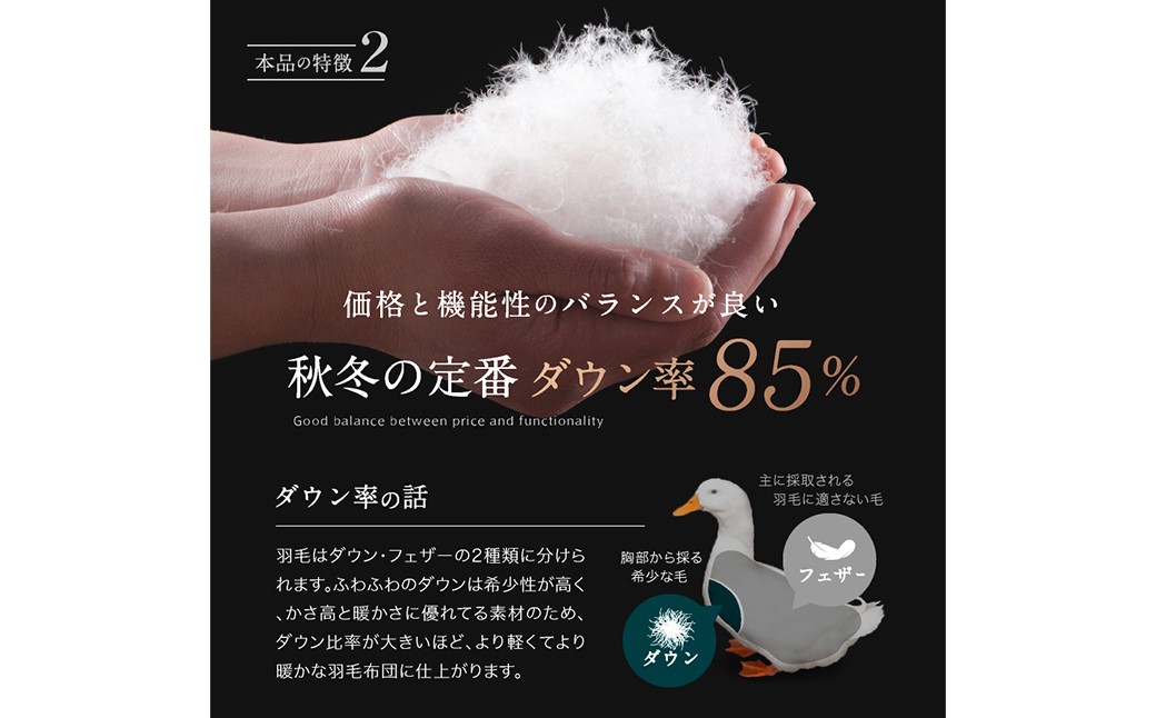 福岡県産 洗える 羽毛布団秋冬用 セミダブルロング 170×210cm ダウン85%