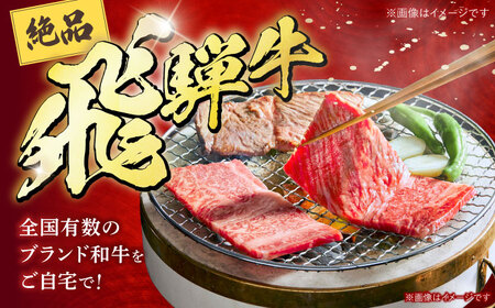 飛騨牛 焼肉 BBQ用 600ｇ 多治見市 / 養老ミート 冷凍 ロース 肩ロース 和牛 ギフト[THG016]