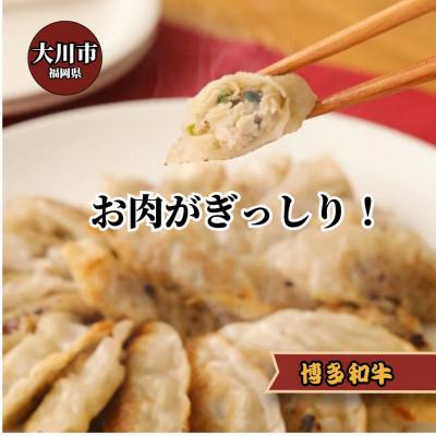 ふるさと納税 大川市 博多和牛 手作り餃子　20個×4パック(大川市) |  | 01