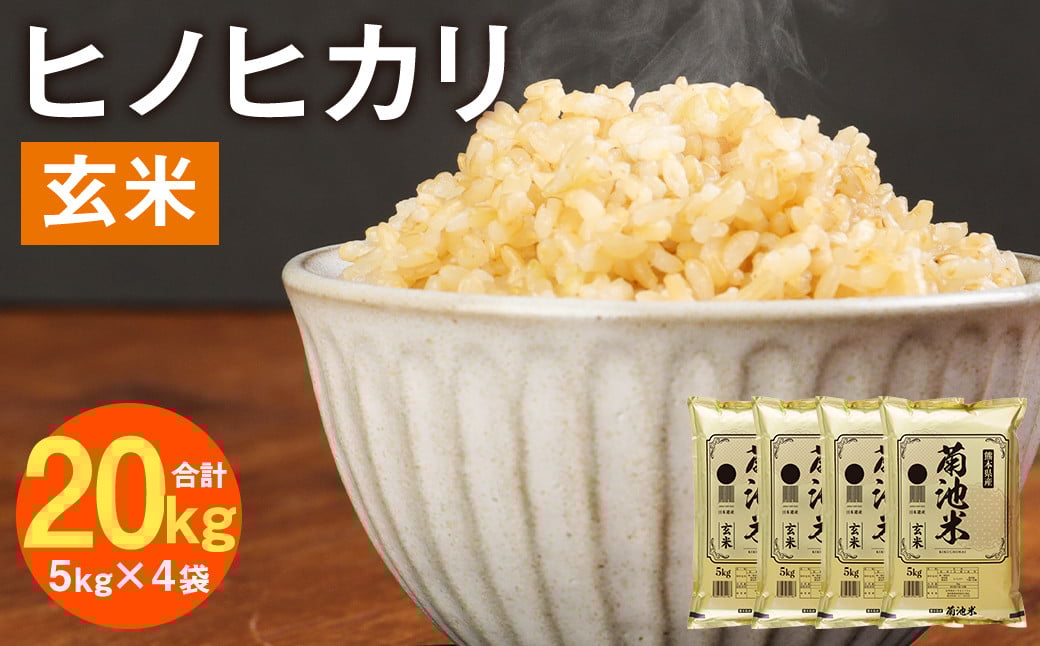 熊本県菊池産 ヒノヒカリ 5kg×4袋 計20kg 玄米 米 お米《30日以内に出荷予定（土日祝除く）》