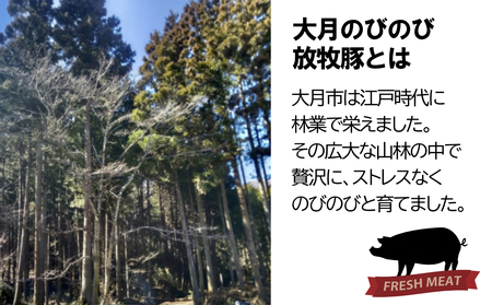 自然の中で飼育された 大月のびのび放牧豚の切り落とし肉  1.5㎏以上 （300g×5パック）