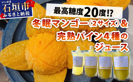 最高糖度20度！？冬眠マンゴー、ミニマンゴーと完熟パイン4種のジュース