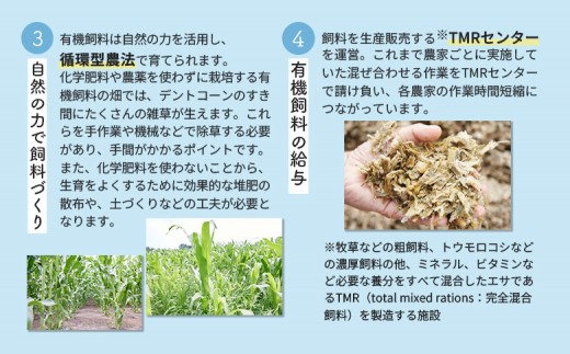 《配送地域限定》【定期便3回】明治オーガニック牛乳 900ml【2本】