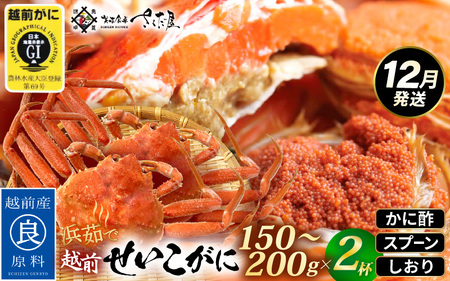 ≪浜茹で≫ 越前 せいこがに 150～200g × 2杯【雌 ズワイガニ】【カニ かに 蟹 越前ガニ セコガニ カニみそ】かに酢・かにスプーン・食べ方のしおり付【12月発送分】希望日指定可 備考欄に希望日をご記入ください [e04-x032_12]