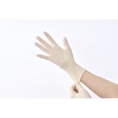 ふるさと納税 角田市 【100枚×2箱】天然ゴム手袋　Lサイズ　100枚　NR-100L |  | 03