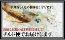 【ふるさと納税】 アオリイカ 1.2kg 下処理済 冷凍 手間なし 活き締め いか イカ 烏賊 刺身 天ぷら 煮つけ 高知 中土佐