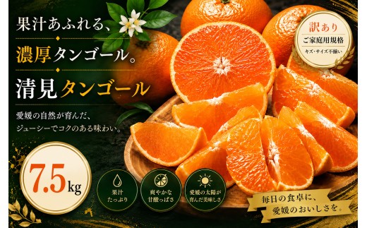 ＜訳あり 愛媛県産清見タンゴール 合計約7.5kg＞『2027年3月上旬～4月下旬迄に順次出荷予定』 濃厚 甘い ご家庭用 果汁 果物 くだもの フルーツ みかん オレンジ 柑橘 人気柑橘 特産品 株式会社OSN 愛媛県 西予市 【常温】