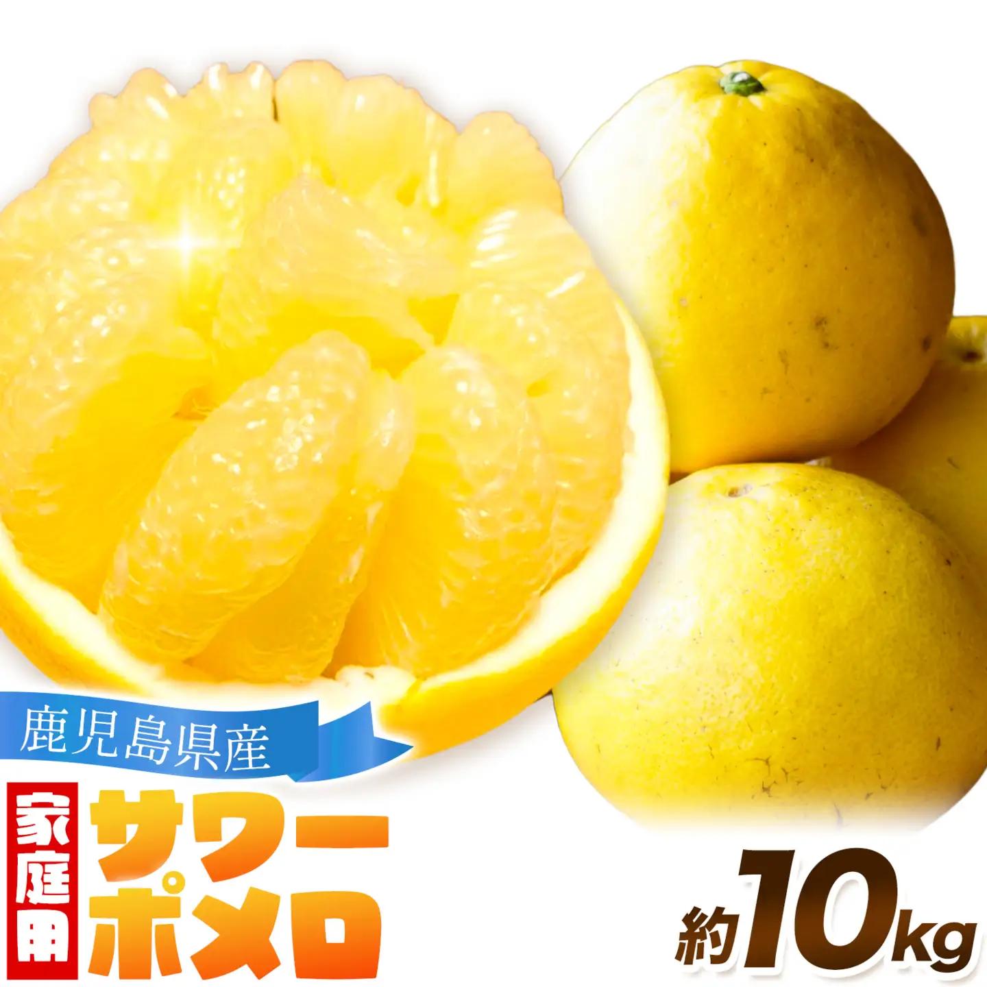 【先行予約】家庭用 みかん サワーポメロ 10kg よしたか農園 《2027年2月上旬～3月下旬頃出荷》