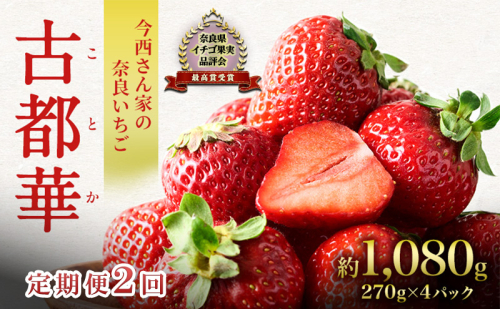 定期便 2回 いちご 奈良県産 古都華 約1080g 270g×4パック 今西さん家の奈良いちご ことか 冷蔵配送 BN001