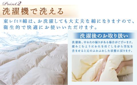 【アイボリー】ミライダウン(蓄熱plus) 羽毛のような掛けふとん【SL】〔22-J201-iv〕