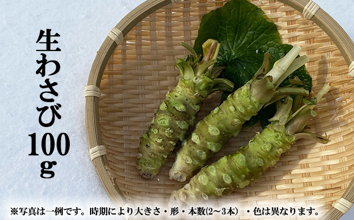 
生わさび 100g 【安比清流山葵園】 ／ 山葵 ワサビ 薬味 産地直送 新鮮
