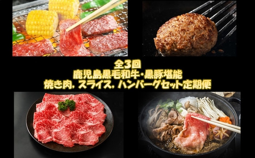 
【全3回】鹿児島黒毛和牛・黒豚堪能焼き肉、スライス、ハンバーグセット定期便 084-16
