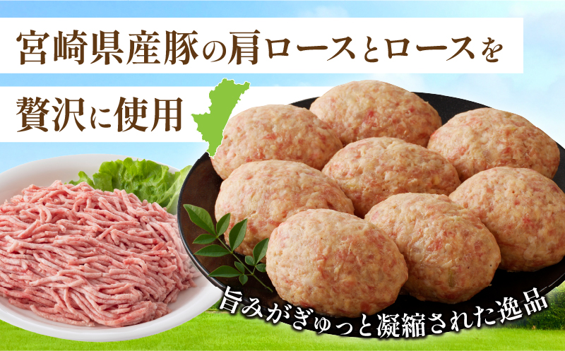 宮崎県産豚プレミアムハンバーグ(計8個) 肉 豚肉 加工品 惣菜 国産_T001-0091